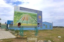 Khu đô thị Hera Complex Riveside do Công ty cổ phần Bách Đạt An làm chủ đầu tư.