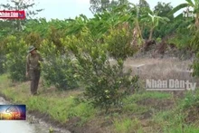 Hội cựu chiến binh Việt Nam với tinh thần "Bộ đội cụ Hồ"