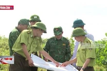 Phát triển rừng ngập mặn bảo vệ môi trường sinh thái