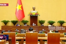 Sửa Luật Quảng cáo cần bảo đảm lợi ích người xem