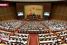 Tăng chế tài xử lý quảng cáo vi phạm