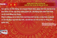 Hướng dẫn về công tác kiểm tra, giám sát phục vụ Đại hội Đảng bộ các cấp