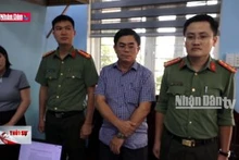 Quảng Bình: Khởi tố 11 bị can liên quan “đại án” cây xanh