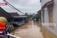 Đảm bảo an toàn cho người dân vùng lũ