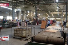 Khó khăn trong sản xuất kinh doanh sau thiên tai
