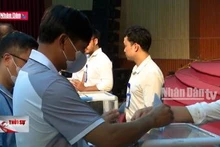 Hà Nội: Đấu giá đất ở Hà Đông, lô cao nhất chạm ngưỡng 262 triệu/m2