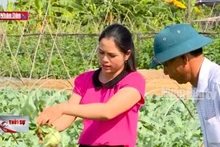 Dân vận khéo để phát triển kinh tế
