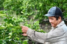 Gia đình ông Trương Trọng Chí, ấp 1, xã Thạnh Hòa (Bến Lức, Long An) đã xin ra khỏi hộ nghèo và thoát nghèo bền vững nhờ nguồn vốn chính sách xã hội. 