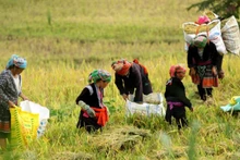 Ảnh minh họa. (Nguồn: Báo Đại đoàn kết)