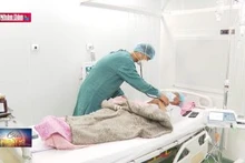 Ứng dụng ghép tế bào gốc điều trị các bệnh máu