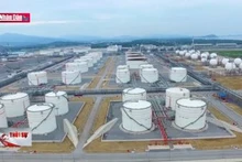 Giá xăng dầu trong nước giảm theo xu hướng thế giới