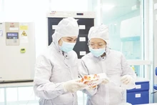 Cán bộ, giảng viên Đại học Quốc gia Thành phố Hồ Chí Minh trong giờ nghiên cứu.