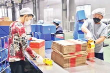 Công nhân làm việc tại nhà máy của Công ty TNHH Deli Việt Nam, huyện Yên Phong, tỉnh Bắc Ninh. (Ảnh ĐĂNG ANH)
