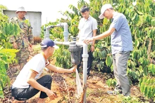 Cán bộ thuộc Dự án SACCR tại tỉnh Đắk Nông hướng dẫn người dân lắp đặt và sử dụng hệ thống tưới nước tiết kiệm cho vườn cà-phê.