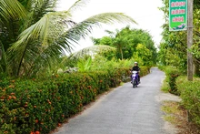Đoạn đường có hàng rào cây xanh sạch, đẹp.