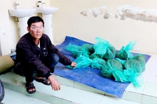 Đối tượng Nguyễn Văn Đề cùng 10 con khỉ đuôi dài, tổng trọng khoảng 20kg. 