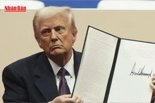 [Video] Tổng thống Donald Trump muốn Mỹ trở thành thủ phủ tiền ảo
