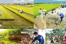 [Video] Bổ sung tiêu chí xác định người lao động có thu nhập thấp