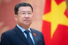Chủ nhiệm Ủy ban Đối ngoại Vũ Hải Hà. (Ảnh: Báo Đại biểu nhân dân)