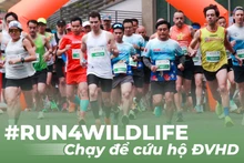 Vào ngày 8/12 tới đây, tại Hà Nội, Trung tâm Giáo dục Thiên nhiên (ENV) cùng đối tác sẽ tổ chức giải chạy với chủ đề Cứu hộ động vật hoang dã. 