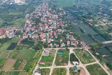 Ảnh minh họa.