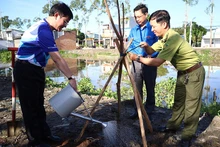 Lãnh đạo tỉnh Hậu Giang tham gia trồng 100 cây Lộc Vừng lá nhỏ trên đường Kênh 62, phường 4, thành phố Vị Thanh.
