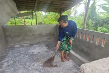 Sau khi tiêu hủy số lợn bị dịch, bà Thị Lài, ấp 7, xã Vị Tân, thành phố Vị Thanh vệ sinh chuồng chờ tái đàn.