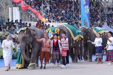 Lễ hội Voi tỉnh Xayaboury của Lào là một trong những lễ hội đặc sắc, thu hút đông đảo du khách. (Ảnh: Trịnh Dũng)