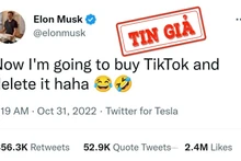 "Elon Musk sắp mua TikTok" là tin giả