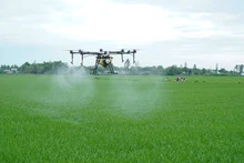 Công ty cổ phần Tập đoàn Lộc Trời cung cấp dịch vụ máy bay không người lái (drone) giúp giảm chi phí và tăng hiệu quả sử dụng thuốc bảo vệ thực vật. (Ảnh: MINH ANH)
