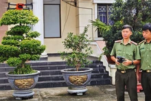 Công an thành phố Thủ Đức thao tác sử dụng thiết bị không người lái (drone).