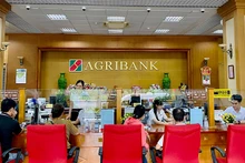 Khách hàng giao dịch tại chi nhánh Ngân hàng Agribank.