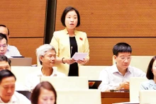 Ðại biểu Phạm Thị Thanh Mai (Ðoàn đại biểu Quốc hội thành phố Hà Nội) phát biểu tại Hội trường. (Ảnh Quang Khánh)