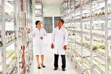 Phòng nuôi cấy mô tại Khu Nông nghiệp công nghệ cao Thành phố Hồ Chí Minh.