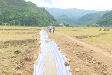 Người dân bản Nà Ngặp phải tự đào mương, lót bạt để dẫn nước từ hồ về nơi sản xuất.