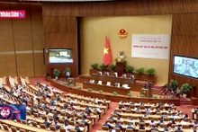 Điều hành giá cần được thực hiện tối ưu