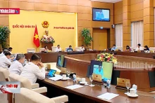 Sửa đổi Luật Dược phải thận trọng, chính xác, đồng bộ