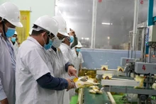 Kiểm tra mẫu gạo xuất khẩu tại Nhà máy chế biến gạo Thoại Sơn (thuộc Công ty cổ phần Tập đoàn Lộc Trời). (Ảnh HÀ AN)