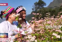 Hà Giang - Kích cầu du lịch cuối năm