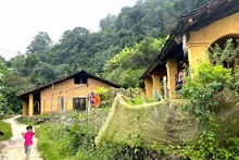 Những ngôi nhà trình tường hơn 60 năm tuổi.