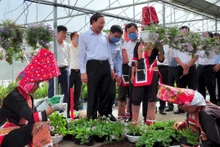 Tỉnh Quảng Ninh luôn dành sự quan tâm đặc biệt đến đồng bào các dân tộc thiểu số trên địa bàn tỉnh.