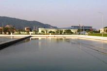 (Ảnh minh họa)