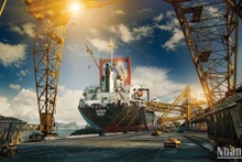 Công ty Tuyển than Cửa Ông (TKV) bốc xúc than cho các hộ tiêu thụ.