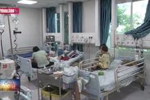 TP Hồ Chí Minh: Nguy cơ dịch tay chân miệng chồng dịch sốt xuất huyết