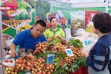Tiêu thụ nông sản: Khai thác bền vững thị trường nội địa