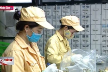 Doanh nghiệp chờ quyết sách nhanh và đủ mạnh từ nghị trường