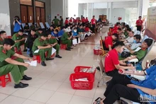 Các bạn trẻ An Giang tham gia hiến máu cứu người.
