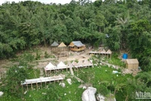 Các homestay xây dựng tự phát trên Núi Cấm.