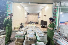 Lực lượng chức năng tiến hành kiểm tra toàn bộ các gian hàng, xe chở rau, củ, quả của các thương lái tại chợ đầu mối bản Mé Ban, xã Chiềng Cơi, thành phố Sơn La.