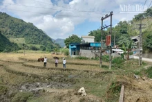 Vị trí xây dựng Cửa hàng xăng dầu có hành lang lưới điện chạy bên trên.